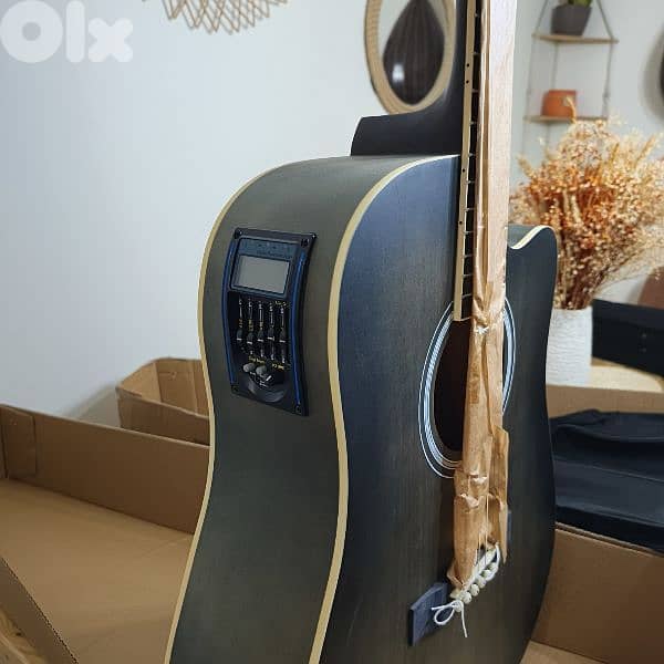 guitar electro accoustic 1