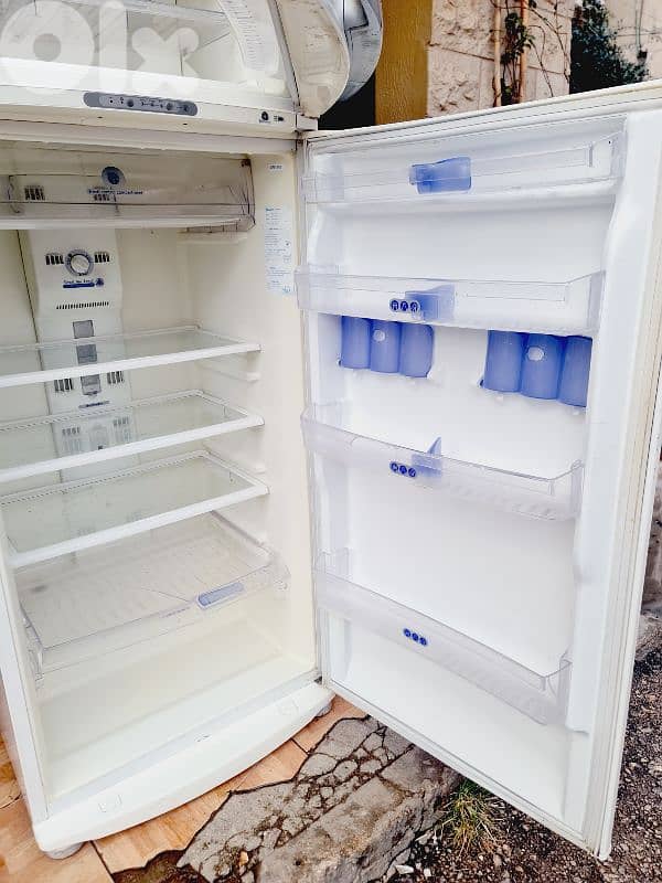 يوجد دلفري 6