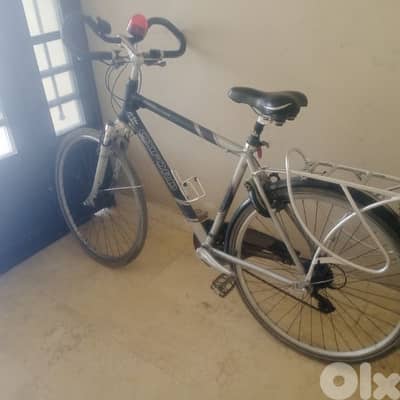 بيسكليت فرنسية أصلية اكبر حجم