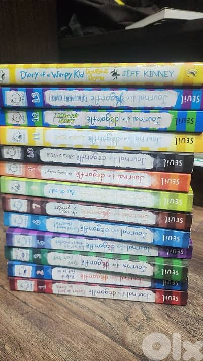 Diary of a wimpy kid french