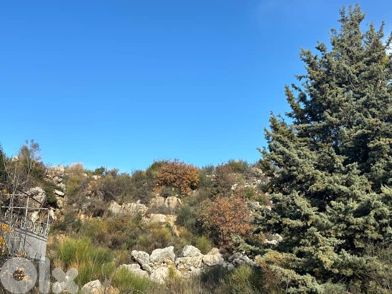 Land for sale 1240 m2 Ajaltoun  للبيع ارض ١٢٤٠ م٢ عجلتون 4