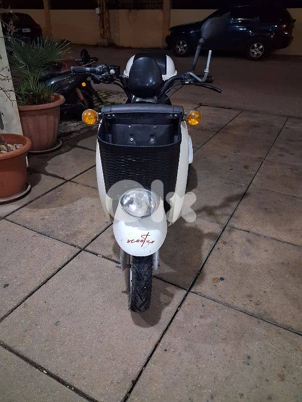 البترون    جانب    راهبات العاءلة 1