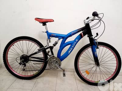 بسكليت اوروبي