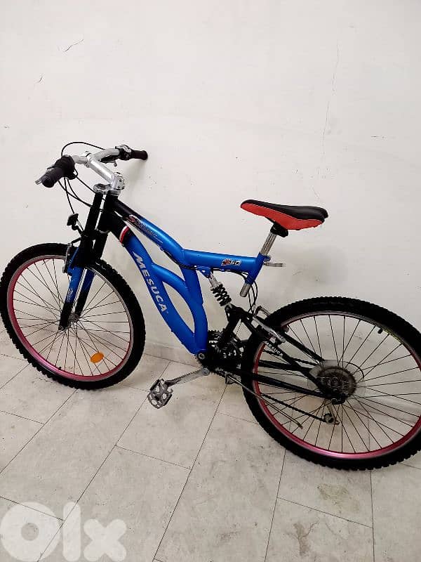 بسكليت اوروبي 1