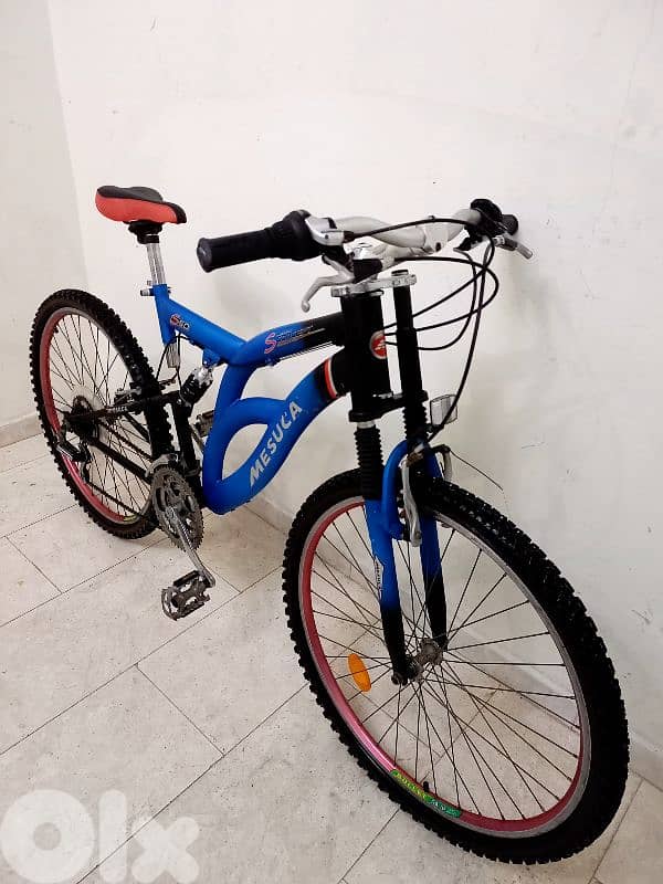 بسكليت اوروبي 2