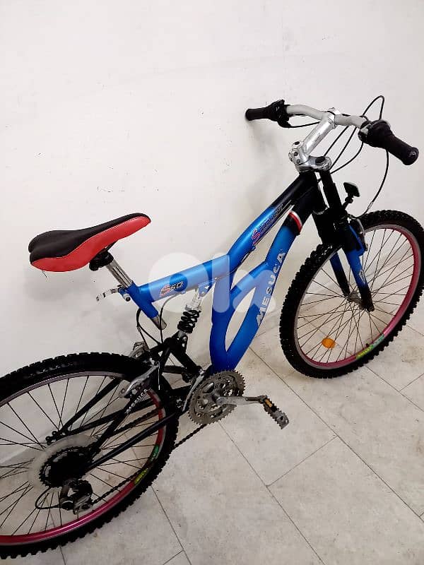 بسكليت اوروبي 3