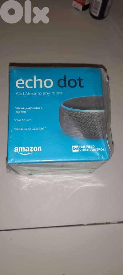 Alexa, Echo Dot