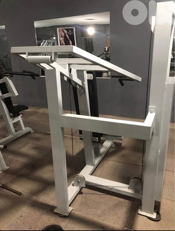 Sholder press like new 2