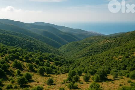 505m2 Prime land+mountain view 4sale in Fakra - أرض للبيع في فقرا