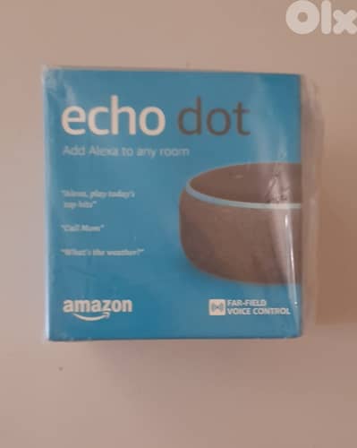 Alexa, Echo Dot