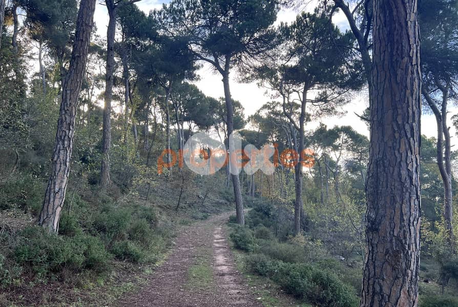 Exceptional Land for Sale in Bikfaya Bhorsaf’s Sakiyet El Misk-CPCC95 1