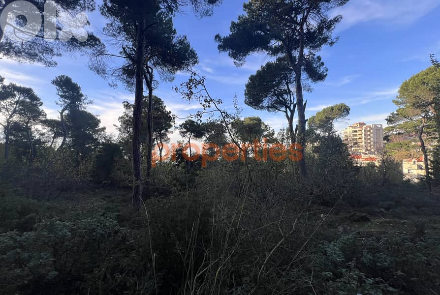 Exceptional Land for Sale in Bikfaya Bhorsaf’s Sakiyet El Misk-CPCC95 3