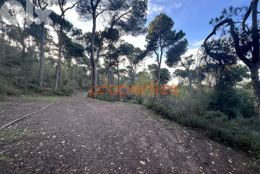 Exceptional Land for Sale in Bikfaya Bhorsaf’s Sakiyet El Misk-CPCC95 4