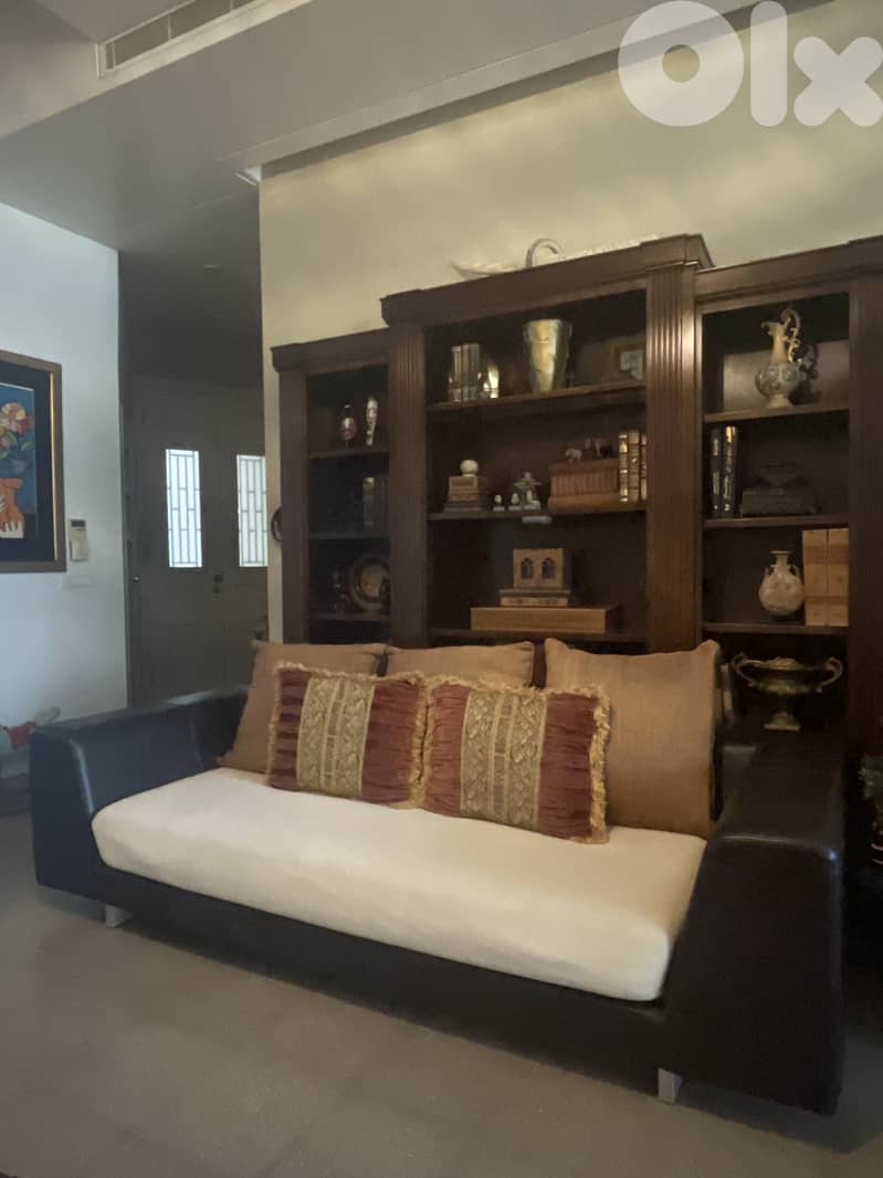 Modern Leather sofa 5