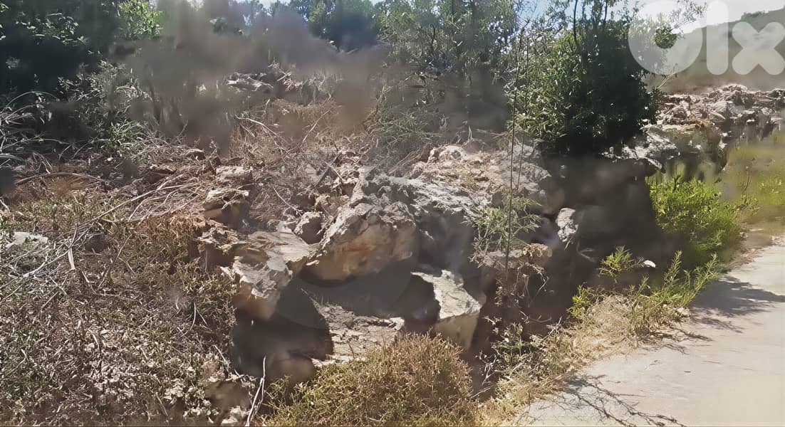 Land For Sale / Hot Deal /Marwahin REF#RJ130997 1