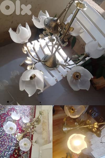 صيدا بيساريه