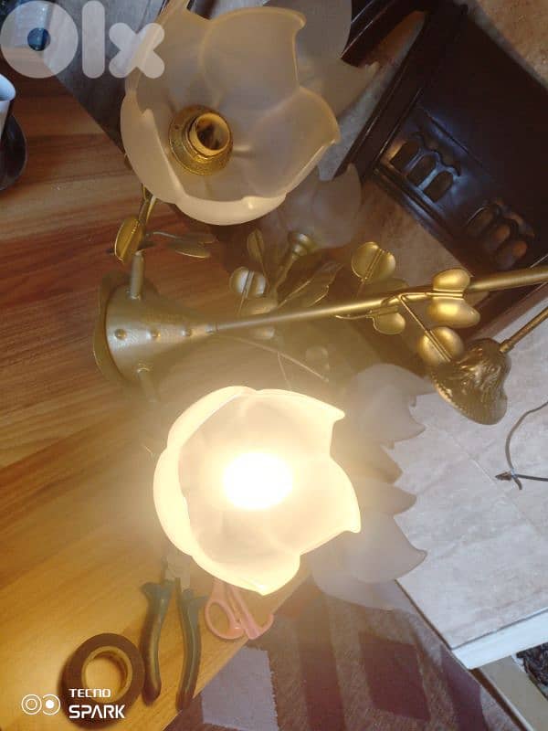 صيدا بيساريه 1