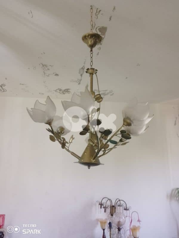 صيدا بيساريه 4