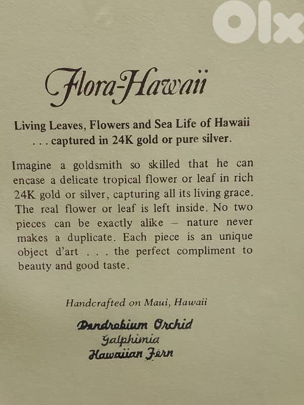 Vintage Flora Hawaii Hawaiian Fern 24k Gold Dipped Oval Frame 5