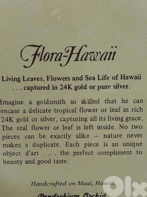 Vintage Flora Hawaii Hawaiian Fern 24k Gold Dipped Oval Frame 6