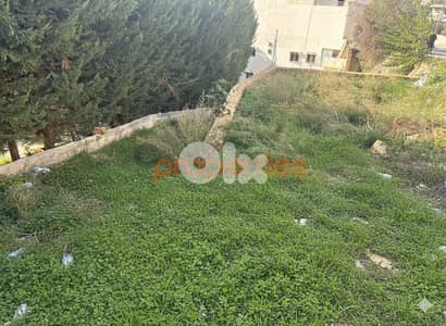 Apartment + 500sqm garden & 60sqm terrace for Sale in Blat - CPJRK333