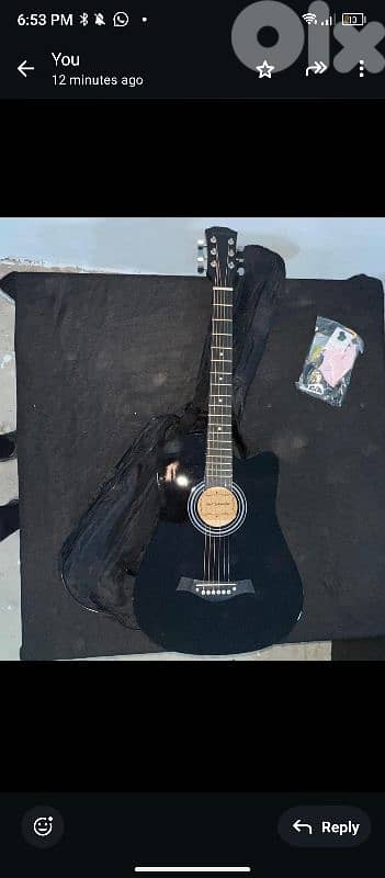 karl Schneider acoustic guitar new