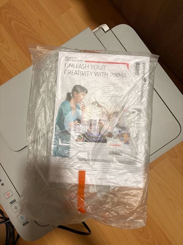 printer Pixma MG2440 3