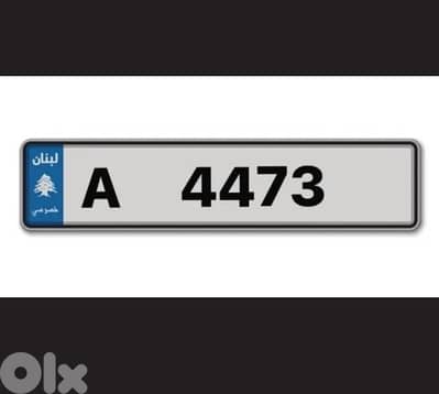 super Rare plate  —— A 4473 ——