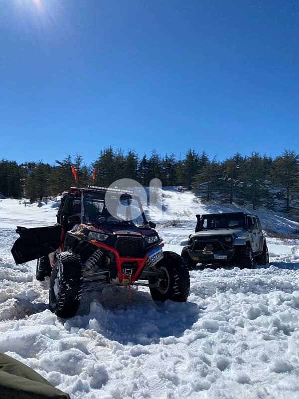 Polaris buggy for sale 5