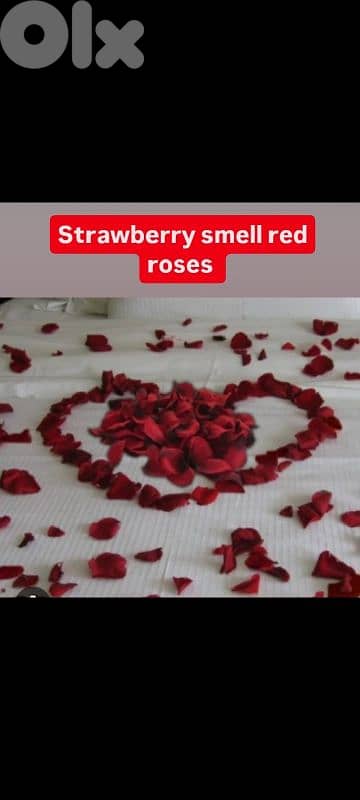 valentine's balloons and decoration 1