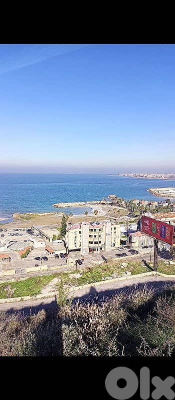 ارض تلة الدبوسي صف اول مباشر على البحر