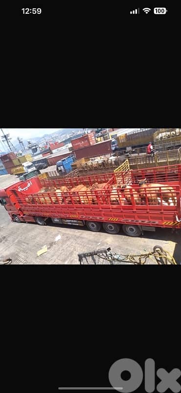 نقليات  ٢٤/٢٤ لكافه الأراضي اللبنانيه 11