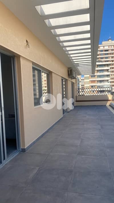 Amazing minimalistic moder apart with large terrace