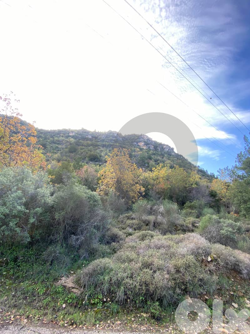 Land in chartoun,Aley , investment opportunity REF#RR131054 5