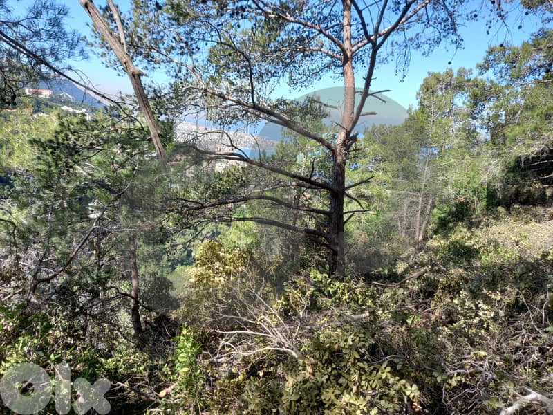 Prime Land for Sale in Ghazir – keserwan ! REF#RS131085 ! 1