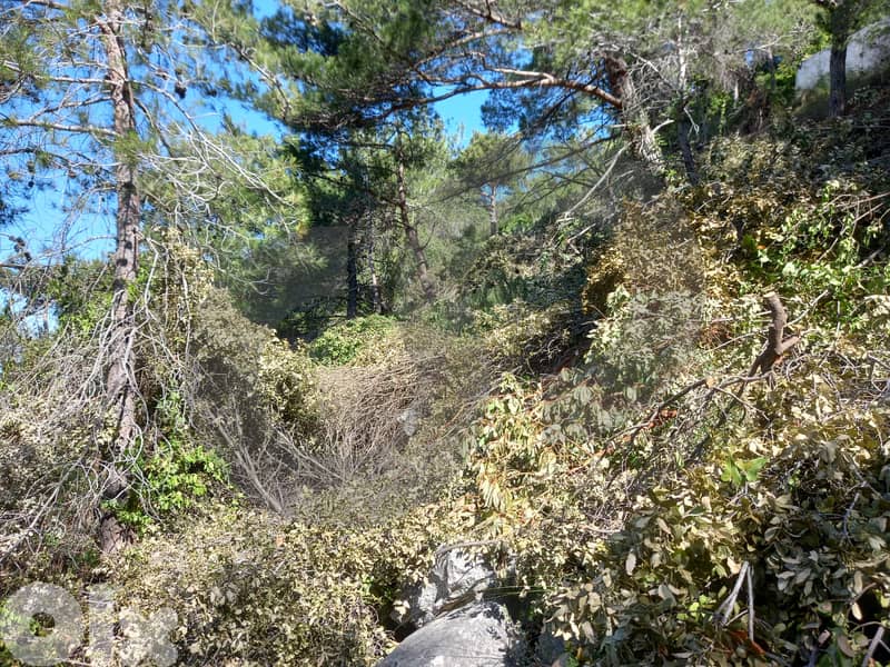 Prime Land for Sale in Ghazir – keserwan ! REF#RS131085 ! 3