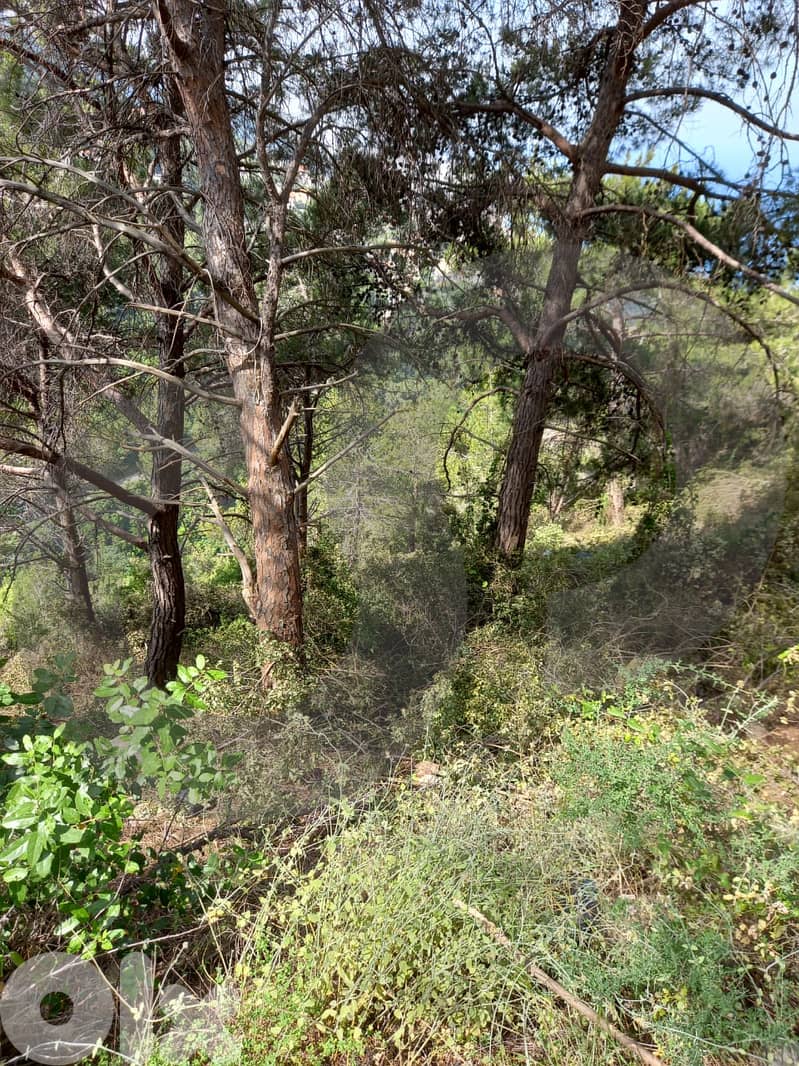 Prime Land for Sale in Ghazir – keserwan ! REF#RS131085 ! 4