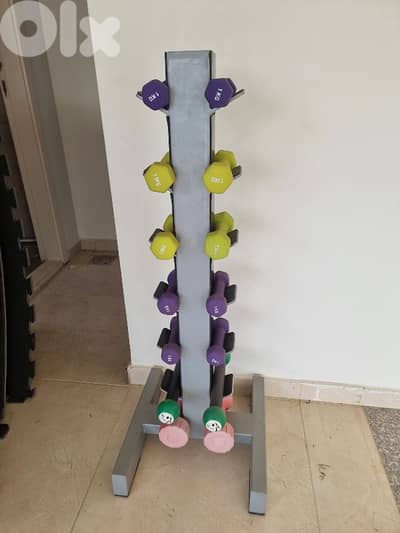 Dumbbell stand (with dumbbells)