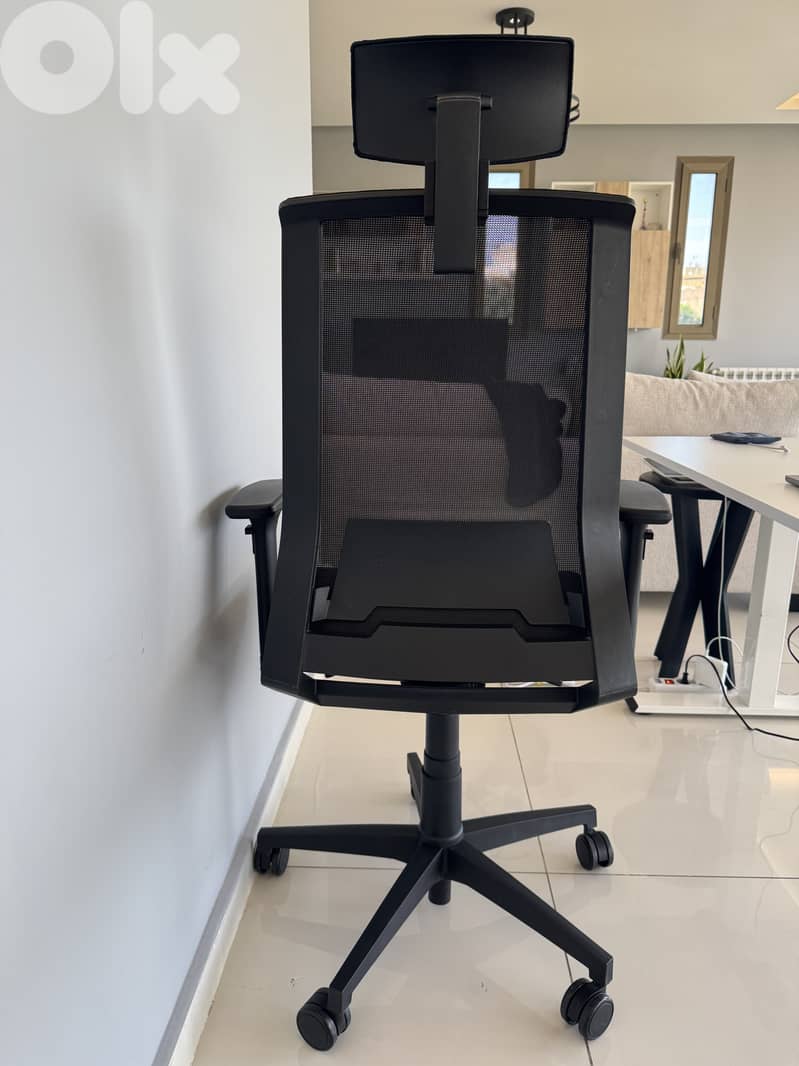 Fantoni Office Chair 1