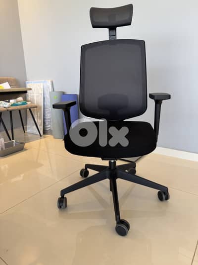 Fantoni Office Chair