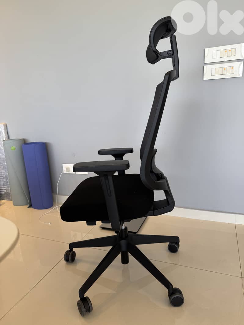 Fantoni Office Chair 1