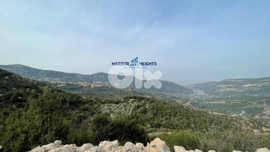 Land for Sale in Douma أرض للبيع في دوما