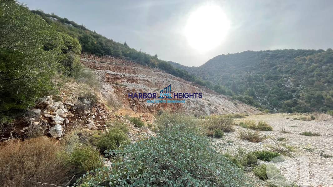 Land for Sale in Douma أرض للبيع في دوما 1