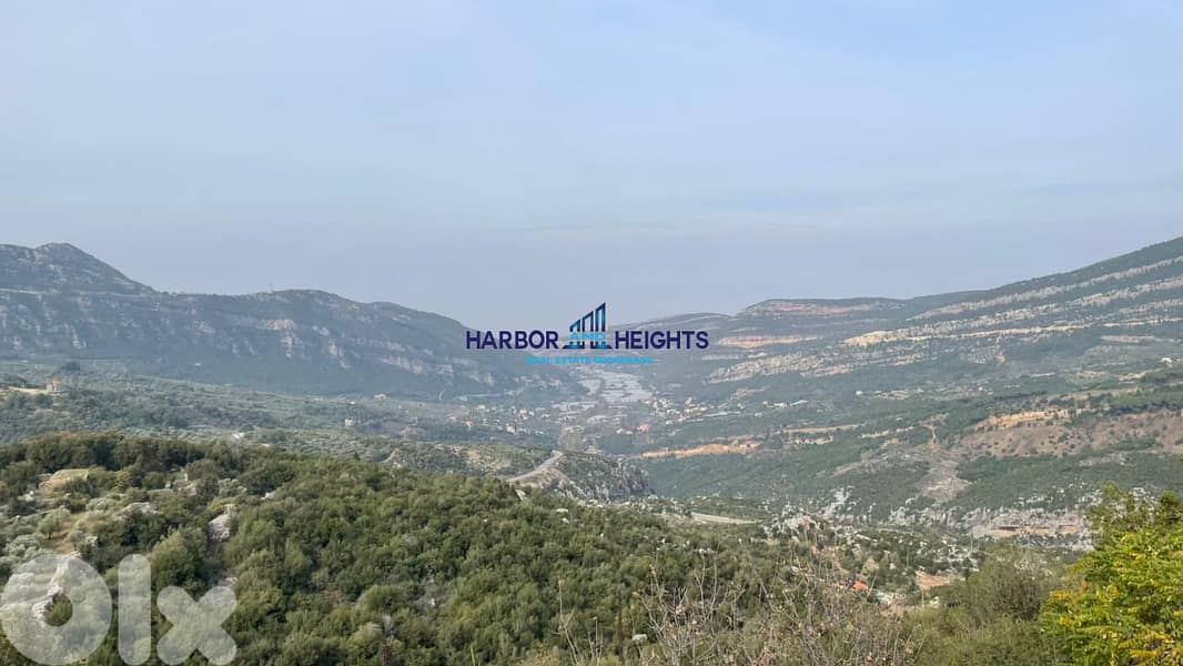 Land for Sale in Douma أرض للبيع في دوما 2