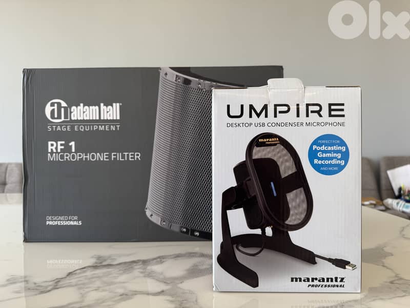 Microphone and Mic Filter 1