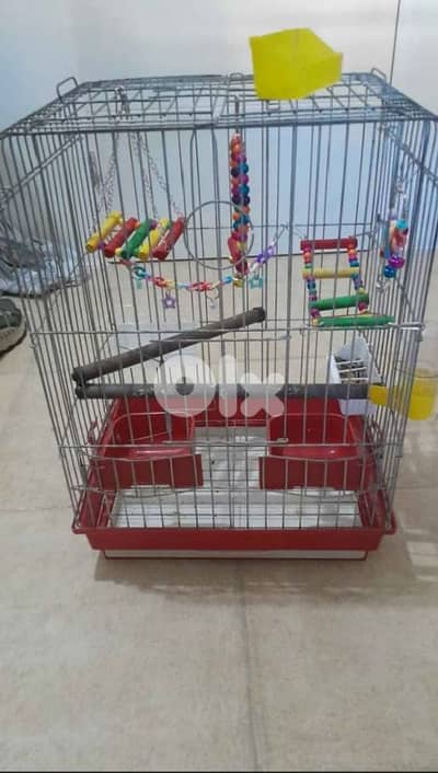 قفص كروان مع زينة