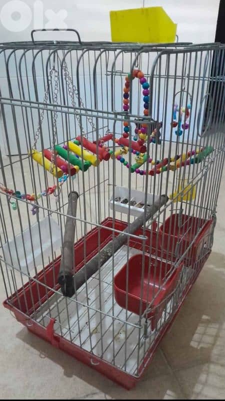 قفص كروان مع زينة 1