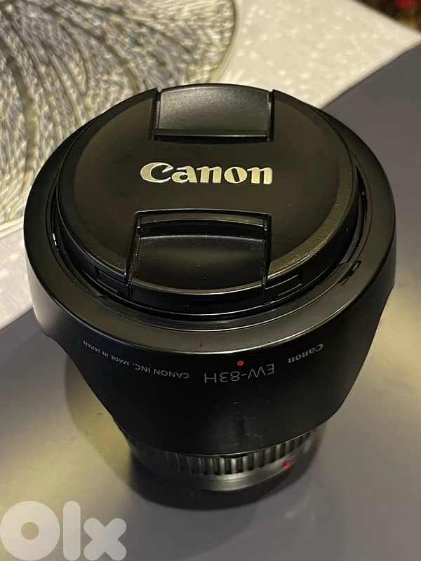 Canon Lens 24-105 f/4 2