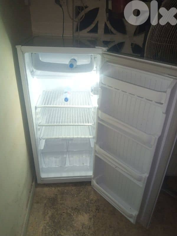 موجود بي صيدا 1