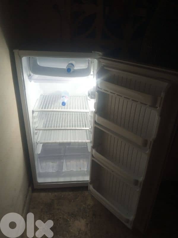 موجود بي صيدا 2